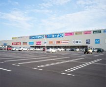 豊富な経験に基づく的確な診断